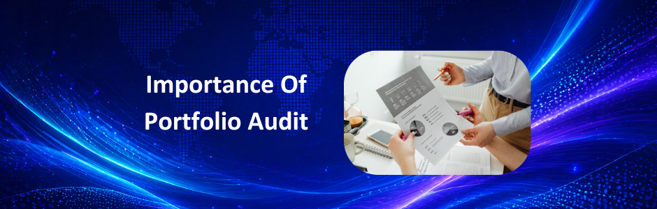 Steps to audit investment portfolio India