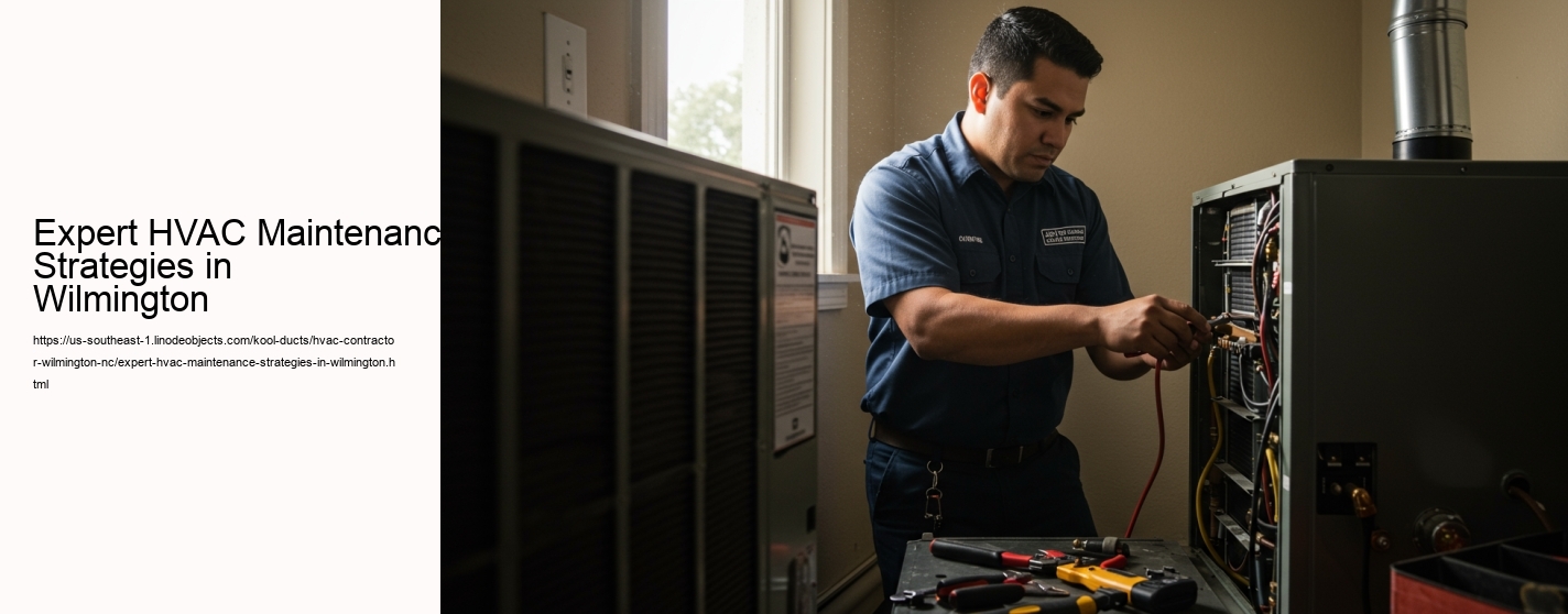 Expert HVAC Maintenance Strategies in Wilmington