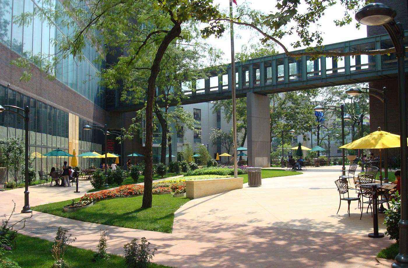 Long Island University Acceptance Rate EducationScientists Long Island University Acceptance Rate EducationScientists