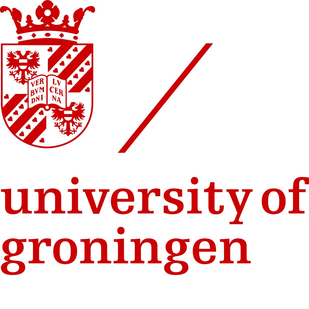 university of groningen phd political science