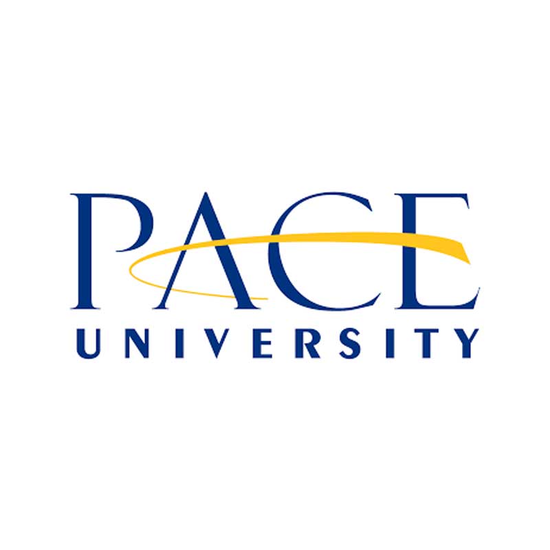 does pace university require essay