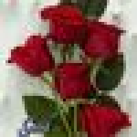 Mahendra Kumar Banjare