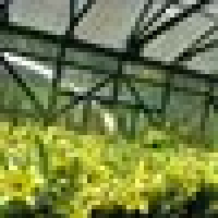 Nandakumar Sethuramanujam