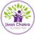 Jivan Chakra Foundation- Yoga Teacher Training India