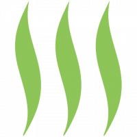 Vishwas Healing Centre