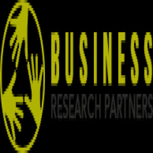 Knowledge Management Team LLP (formerly Business Research Partners)