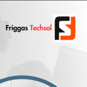 Friggas Techsol