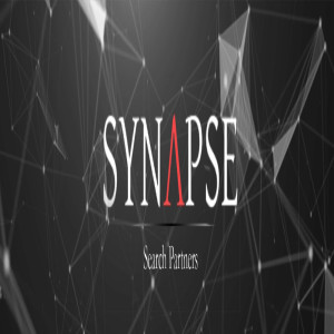 Synapse search partners