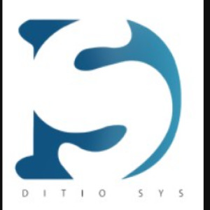 Ditio Sys Pvt Ltd