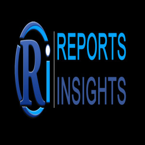 ReportsInsights Consulting Pvt Ltd