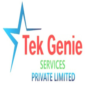 Tek Genie services Private Limited