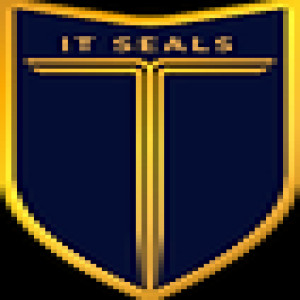 IT Seals