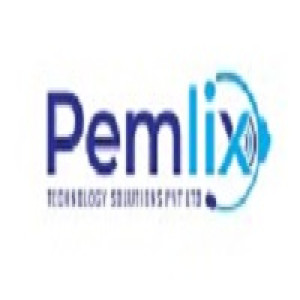 Pemlix Technology Solution Pvt. Ltd