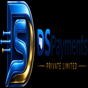 DSPAYMENTS PRIVATE LIMITED