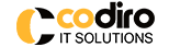 Codiro IT Solutions Pvt Ltd
