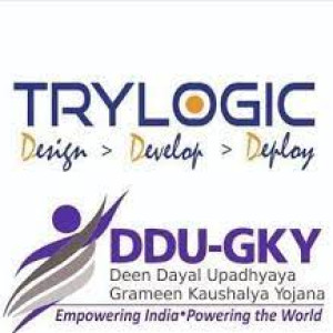 Trylogic Soft Solutions AP Pvt Ltd