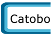 Catobo India
