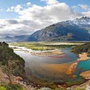 Non Customized Company