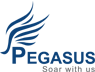 pegasus it