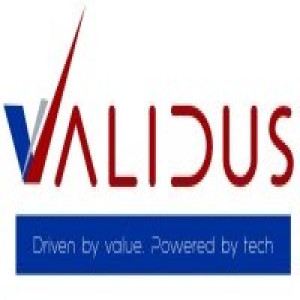 Validus Fintech Services Private Limited