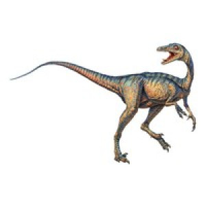 Troodon Media