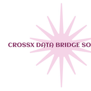 CrossX data bridge solution