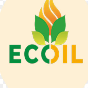 KNP Arises Green Energy Private limited