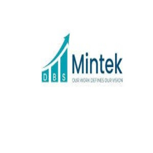 DBS MINTEK PVT LTD