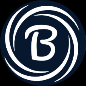 Bloofield Management Services LLP