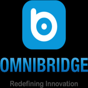 Omni Bridge Solutions Pvt Ltd