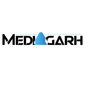 MEDIAGARH TECHNO SOFT PRIVATE LIMITED
