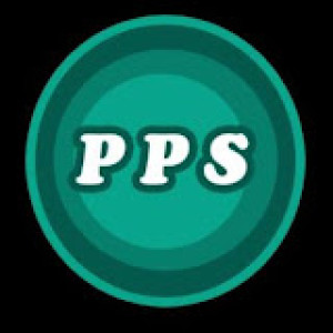 Public Placement Services