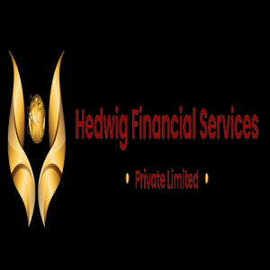 Hedwig Financial Services Pvt Ltd
