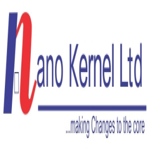 nano kernel ltd