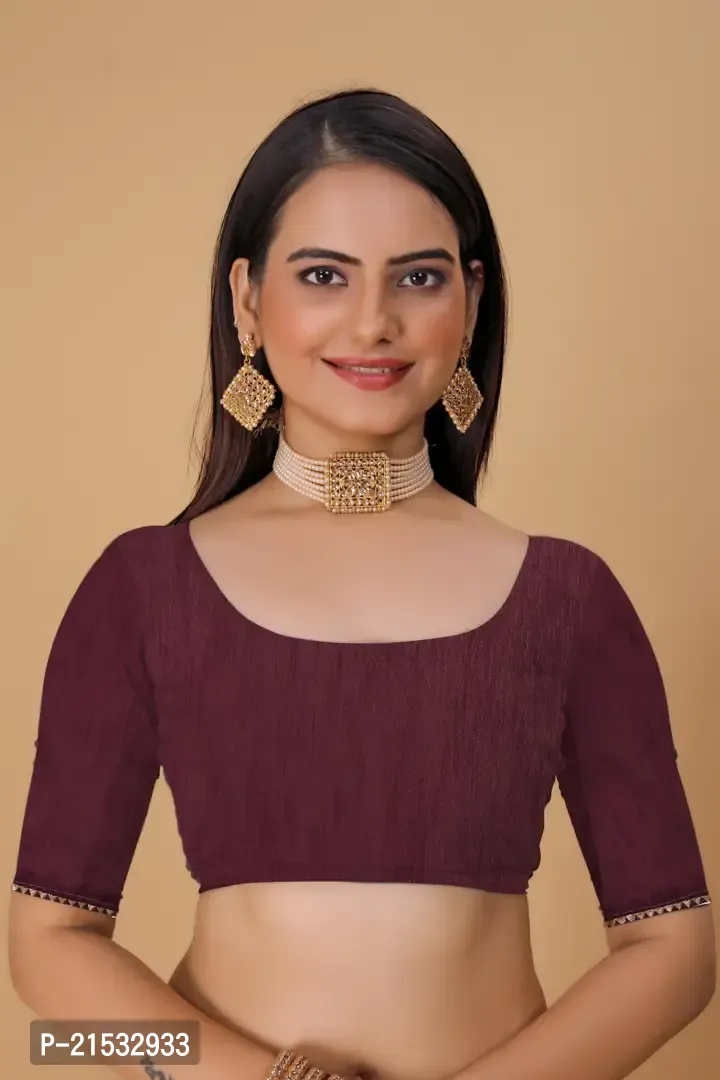 Organza Embroidered Piping Border Sarees with Contrast Blouse Piece