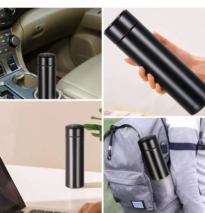 Temperature water bottle