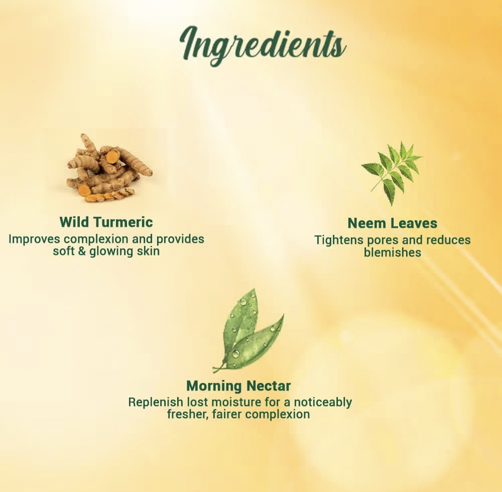 Biotique Morning Nectar Sun Protect Moisturizer SPF 30 UVA/UVB Sunscreen | Visibly Flawless Skin | Suitable for All Skin Types | 1200ml