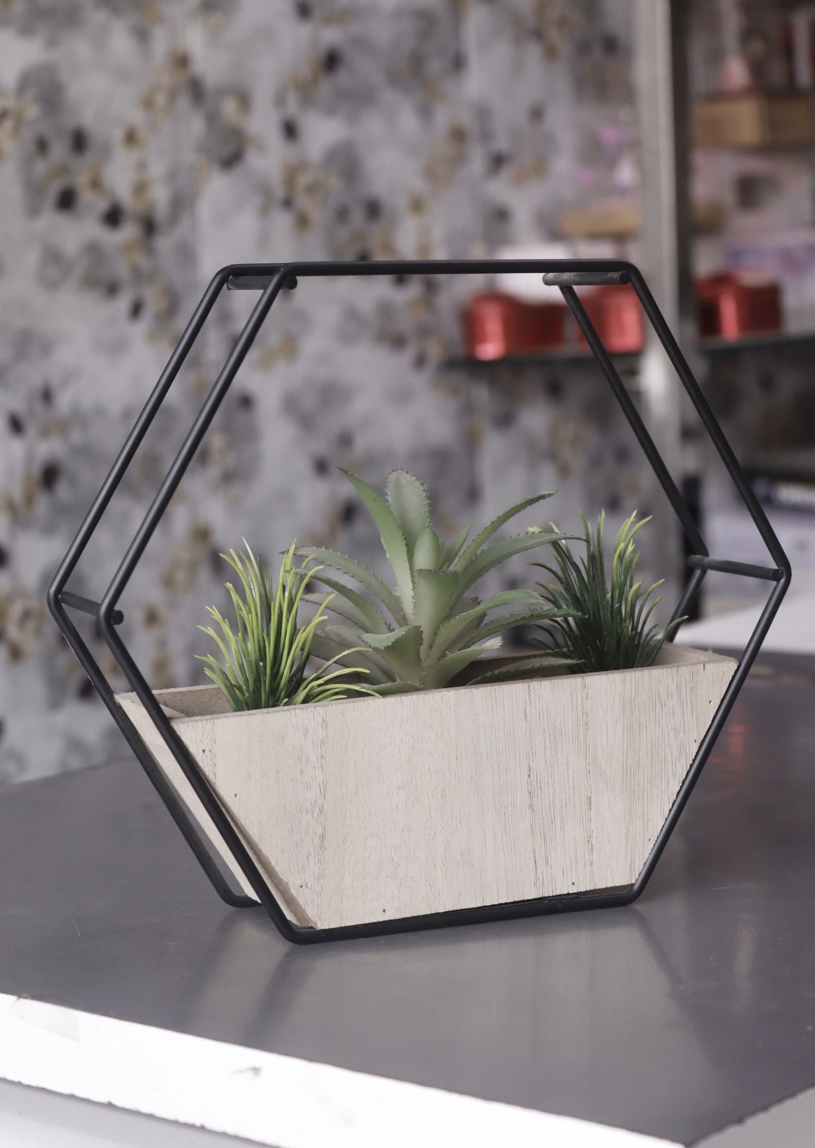 Modern Wall Planter with Ceramic Pot, Metal Octagon Frame, Black and White
