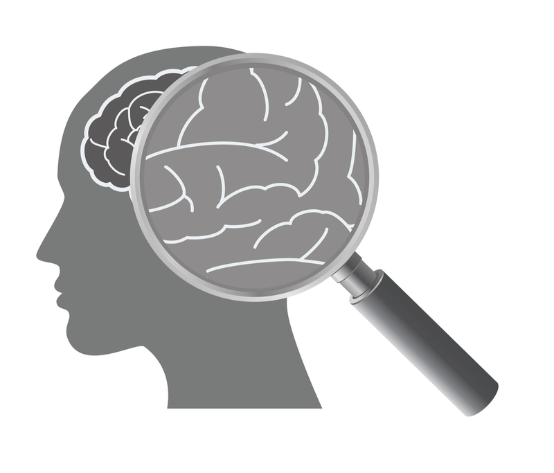 Autism Shares Brain Signature With >> Autism Schizophrenia Share Gene Activity In Brain Autism Shares Brain Signature With >> Autism Schizophrenia Share Gene Activity In Brain