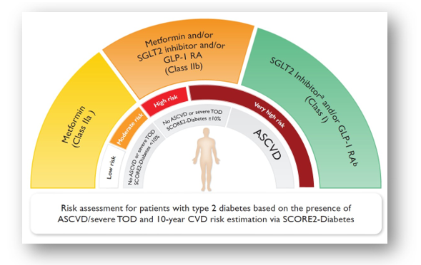 2023 ESC Guidelines for the Management of Cardiovascular Disease in Pa