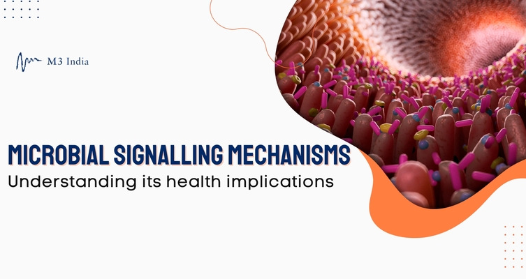Microbial signalling mechanisms understanding its health implications  1737719868