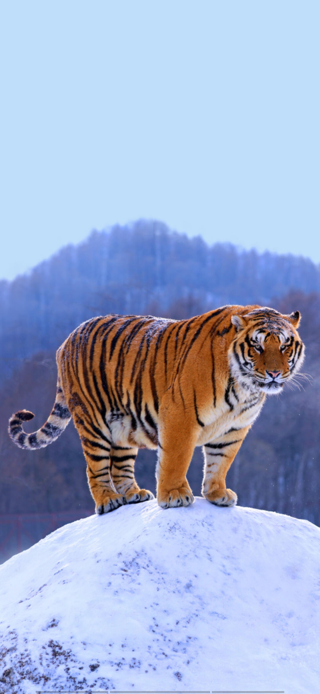 Screenshot 20230602 181119 1686663672