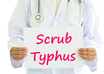 scrub typhus