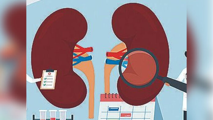 Kidney racket case