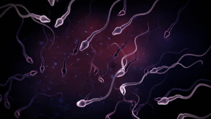 Sperm donation | 67 మంది మహిళలకు వీర్యదానం.. ఆపై ఏం జరిగిందంటే..