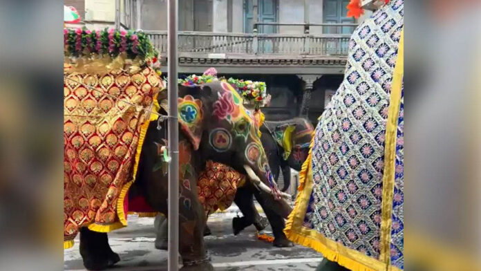 Jagannath Rath Yatra