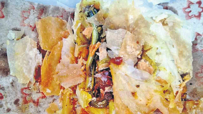 Curry Puff