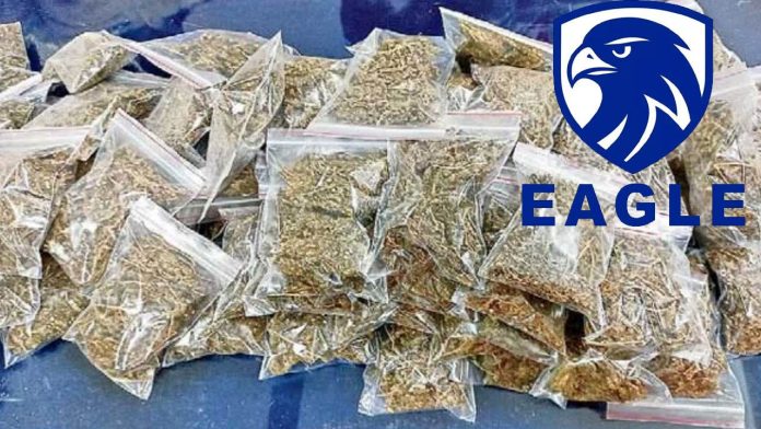 Eagal Team