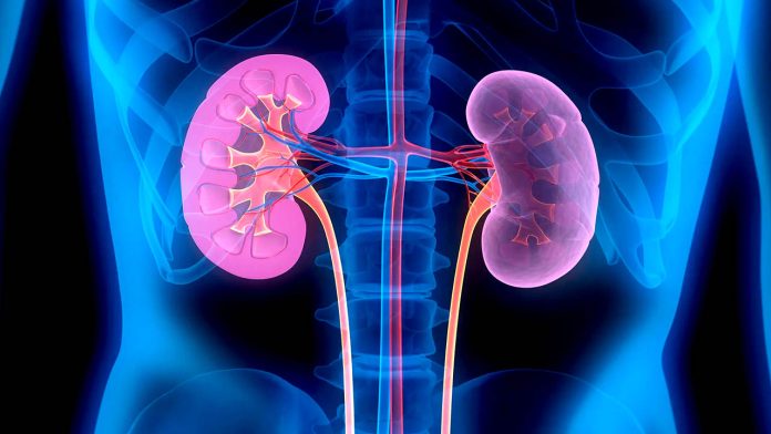 Kidney problems