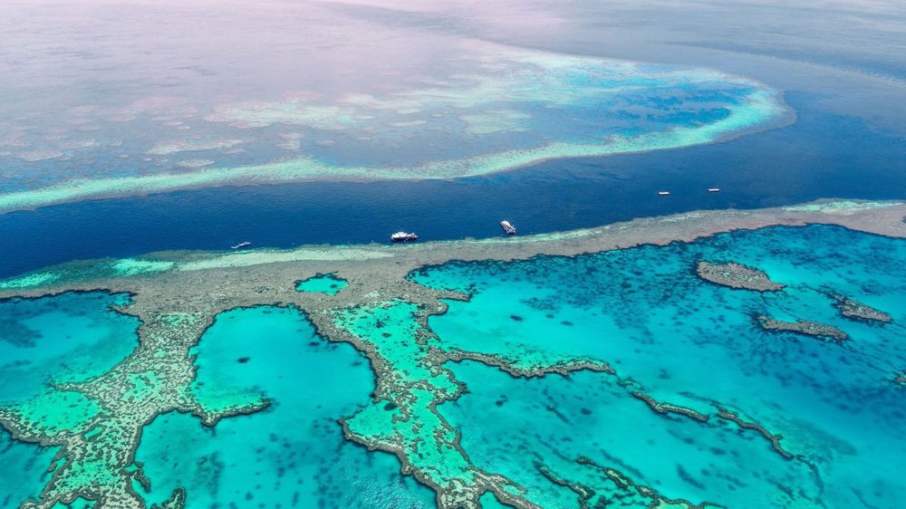 Contrasts of Australia and New Zealand